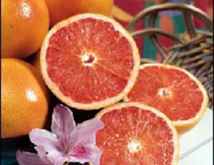 Ruby Red Grapefruit