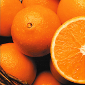 Navel Oranges